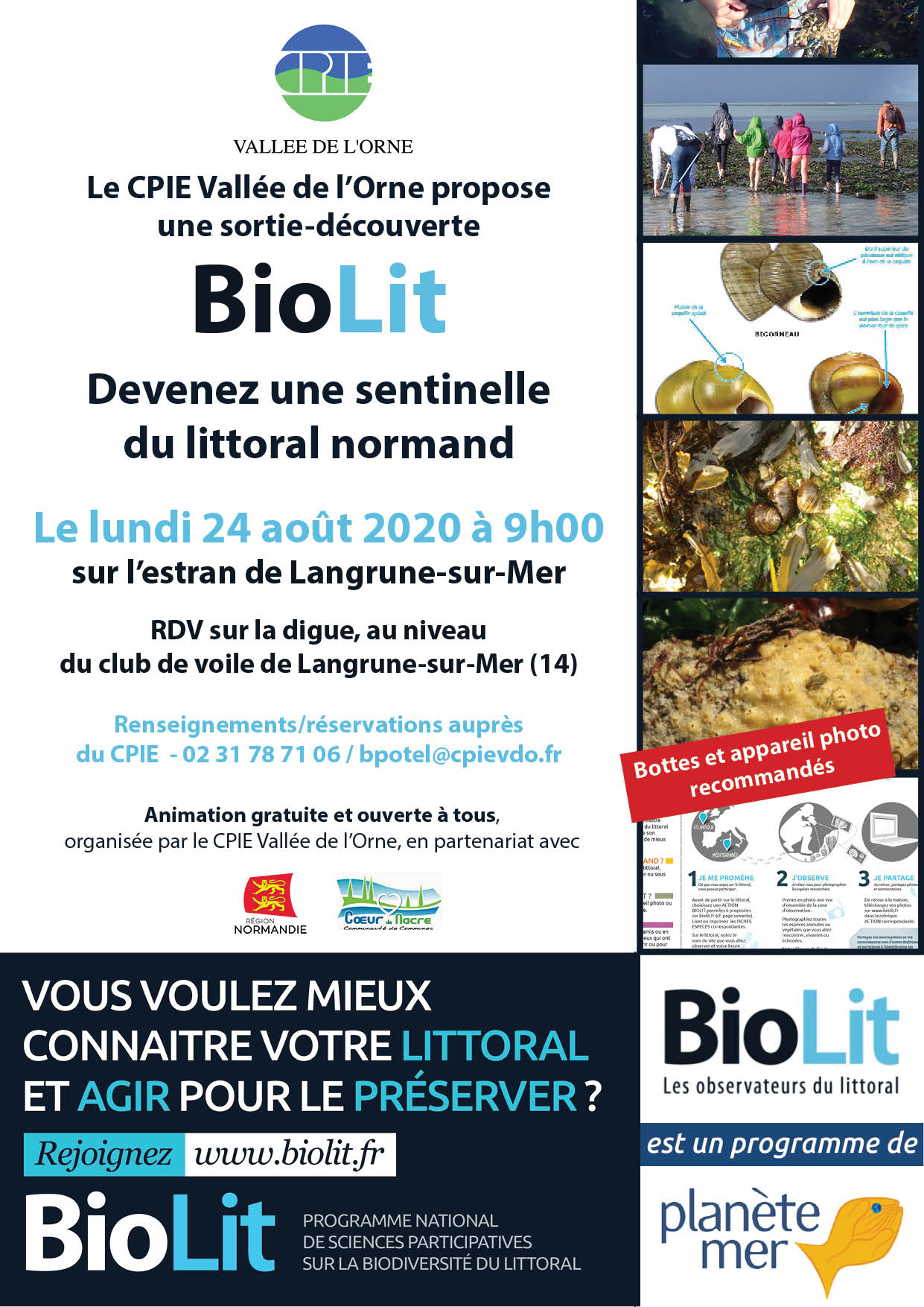 Photo de Animation "BioLit - Devenez une sentinelle du littoral"